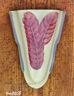Shawnee Pottery Red Feathers or Fronds Wall Pocket