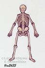 Beistle Vintage Die Cut Halloween Jointed Skeleton