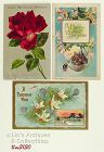 Vintage Birthday Postcards Lot of 3 Postmark 1914 1923