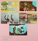 Vintage Florida Souvenir Postcards Lot of Five