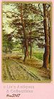 Vintage Country Road Postcard Printed in Germany