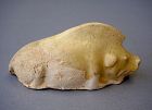 Tang Dynasty Cream Glazed Pottery Figure of a Reclining Boar