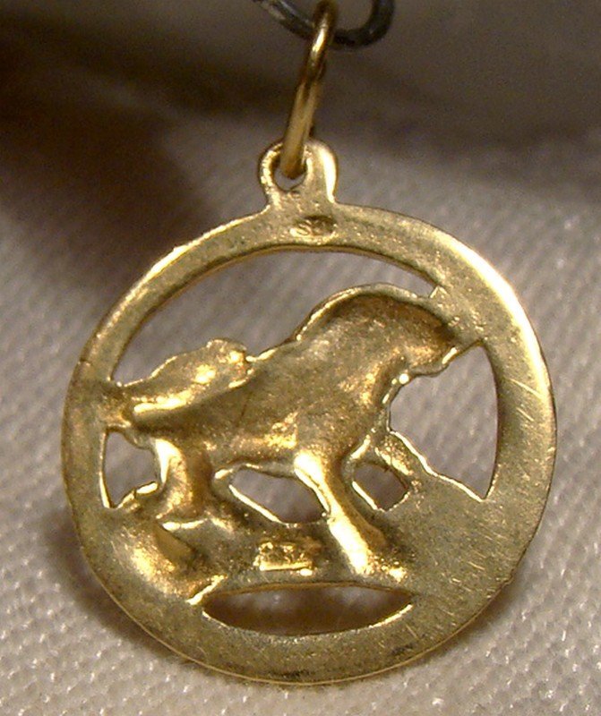 20K Yellow Gold Lion Round Charm or Pendant