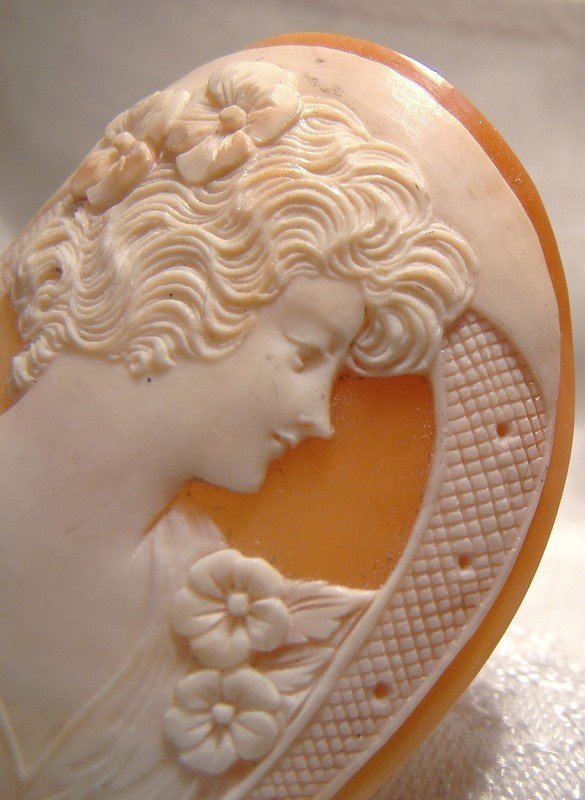 Large Horseshoe Shaped Shell Cameo - 1930s 1940s New Old Stock NOS