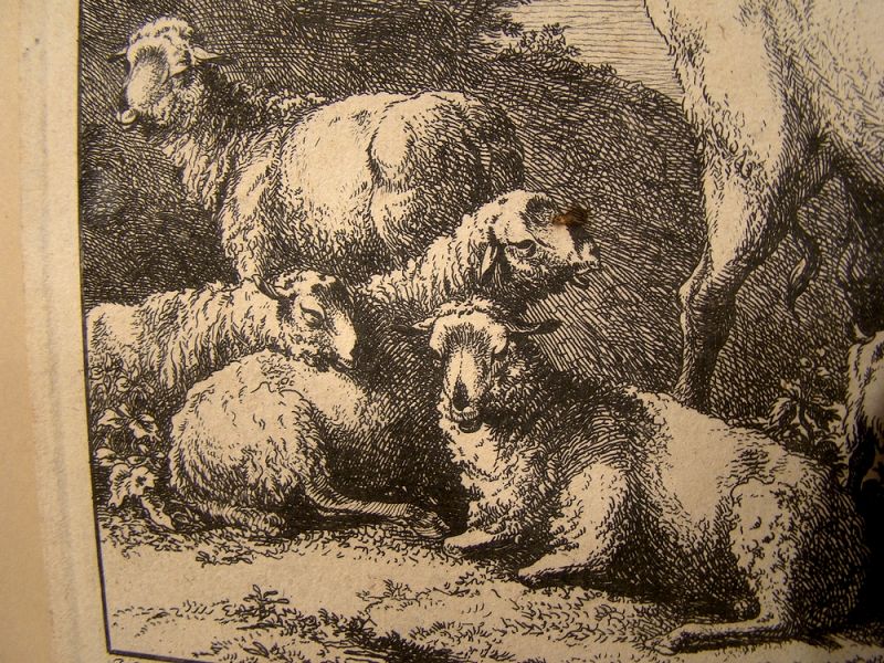 Joseph Wagner Framed Alpine Goats Engraving (1706-1780)
