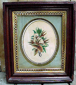 19thC BOTANICAL STUDY WATERCOLOUR c1870 MAHOGANY FRAME