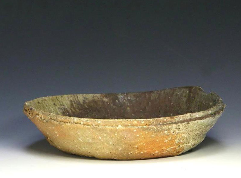 Contemporary Shigaraki Bowl by Tsujimura Shiro