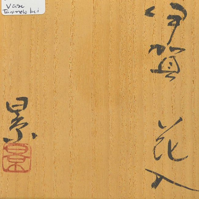Tanimoto Kei Contemporary Iga Shizen-yu Ash Glaze Vase