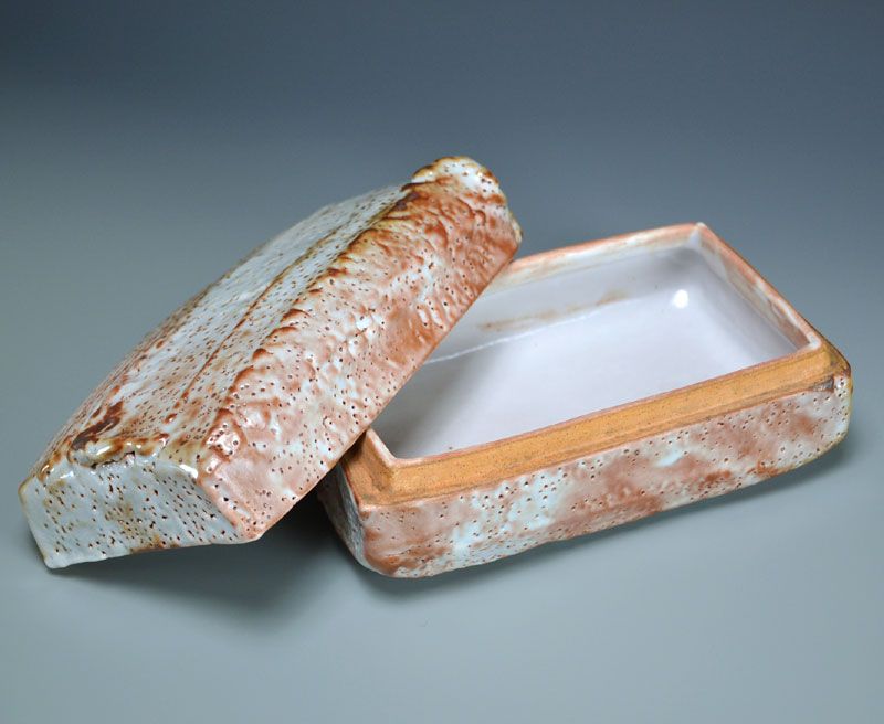 Hori Ichiro Contemporary Shino Ceramic Box