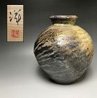 Fabulous Tanimoto Yo Iga Yohen Tsubo