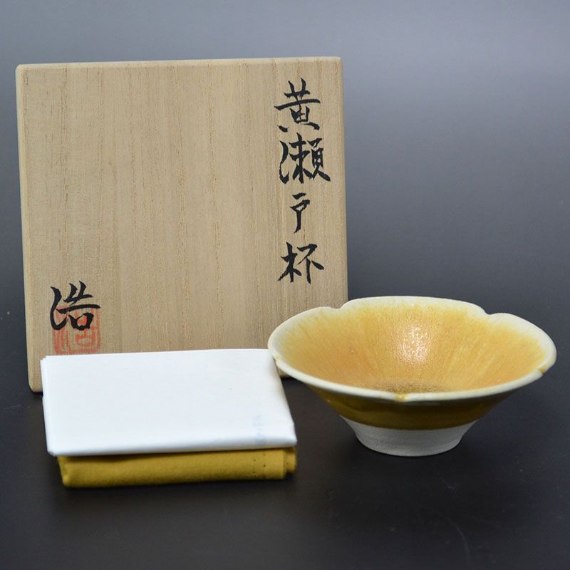 Tokugawa Hiroshi Ki-Seto Hai Sake Cup