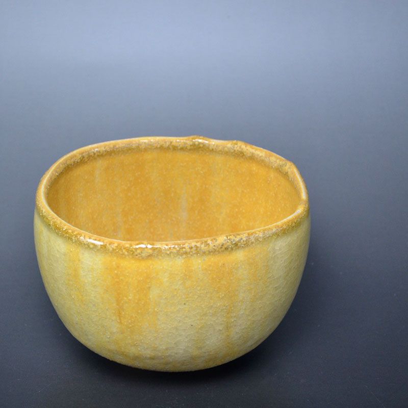 Tokugawa Hroshi Ki-Seto Chawan Tea Bowl