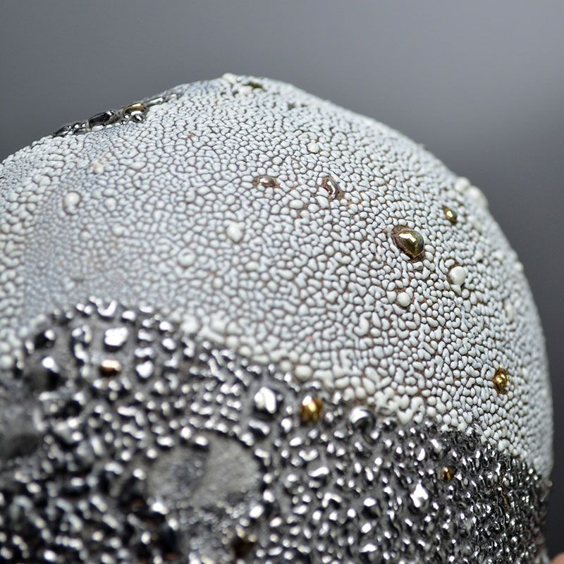 Ichikawa Toru Silver Katakuchi Sake Pot