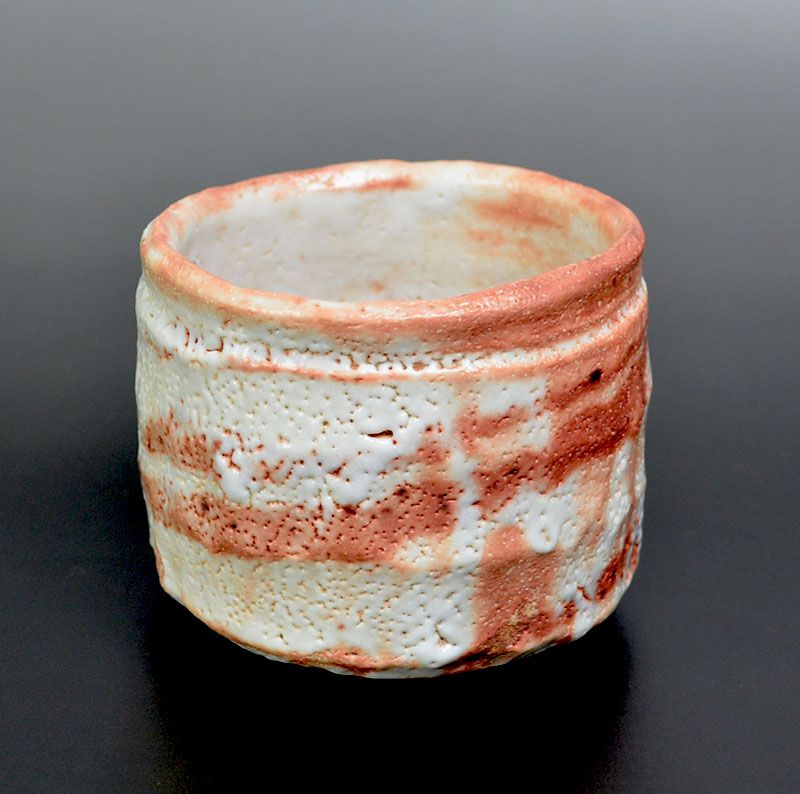 Hori Ichiro Shino Chawan Tea Bowl