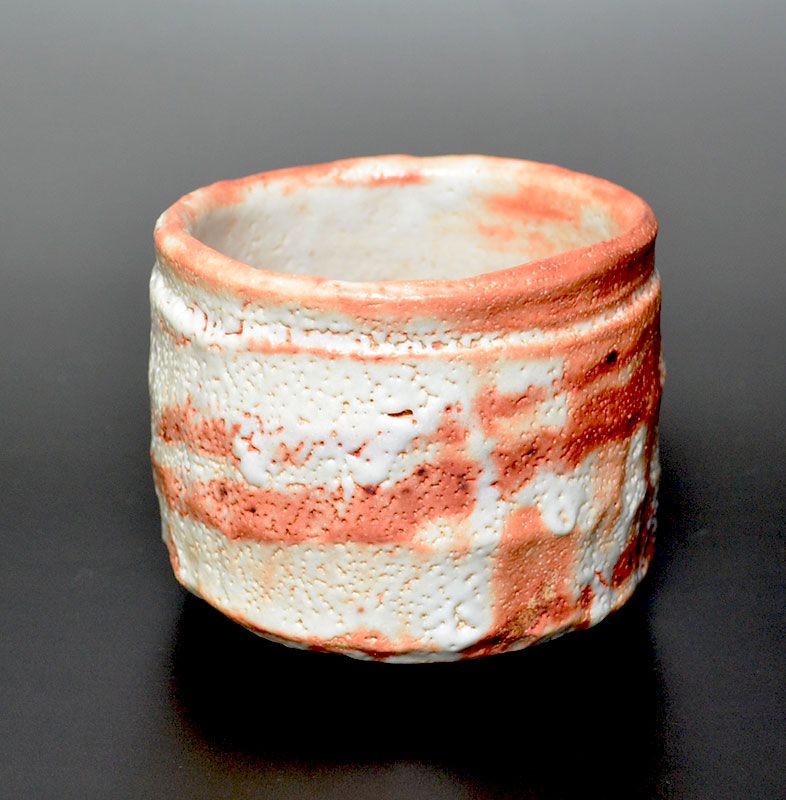 Hori Ichiro Shino Chawan Tea Bowl