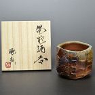 Bizen Guinomi Sake Cup by Watanabe Takuma