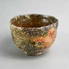 Colorful Shigaraki Chawan Tea Bowl by Furutani Taketoshi