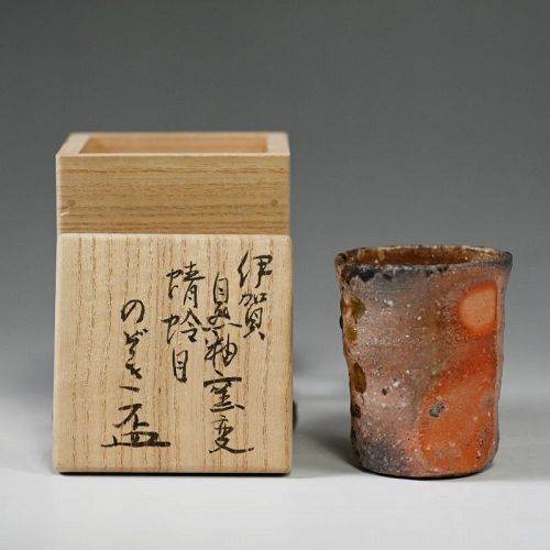 Iga Shizen-yu Yohen Nozoki Hai by Matsuo Takaaki