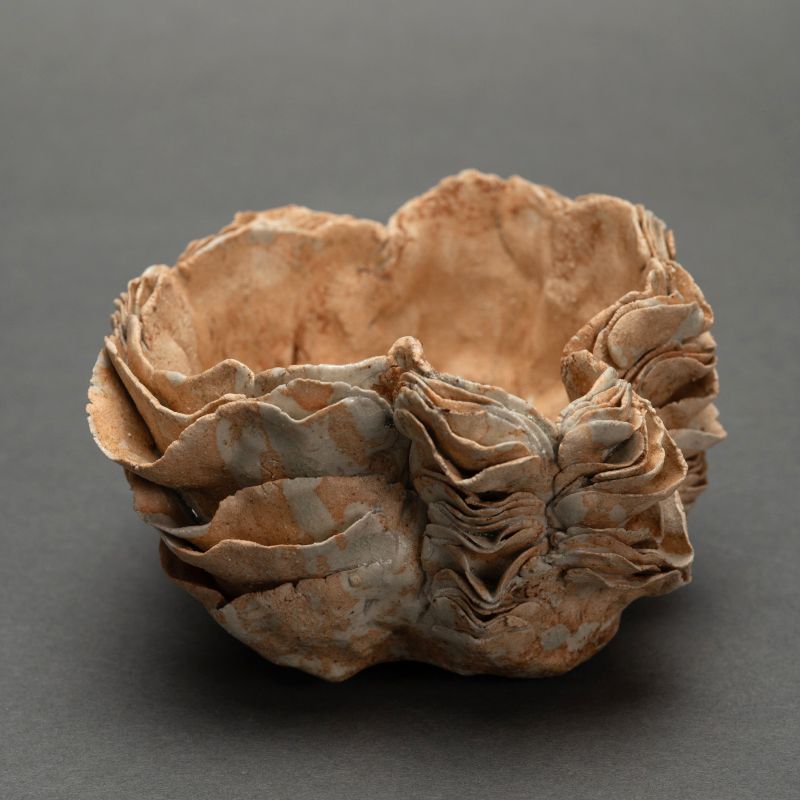 Yamaguchi Mio Petaled Ceramic Bowl, Cocoon