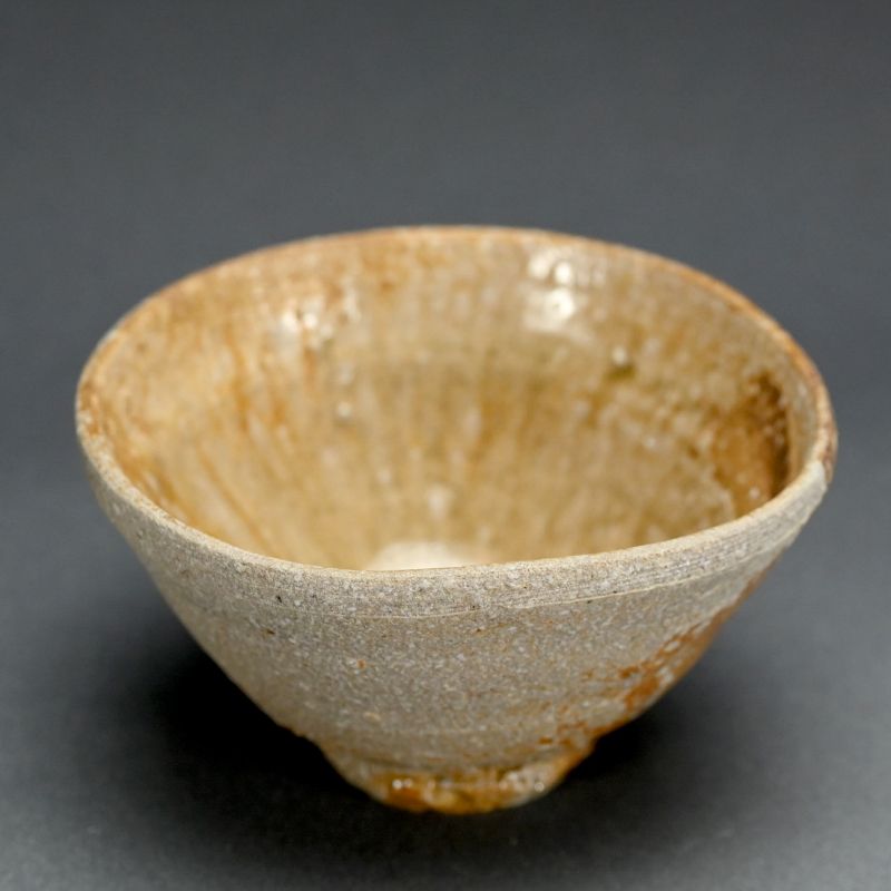 Fujimoto Hide Chawan Tea Bowl