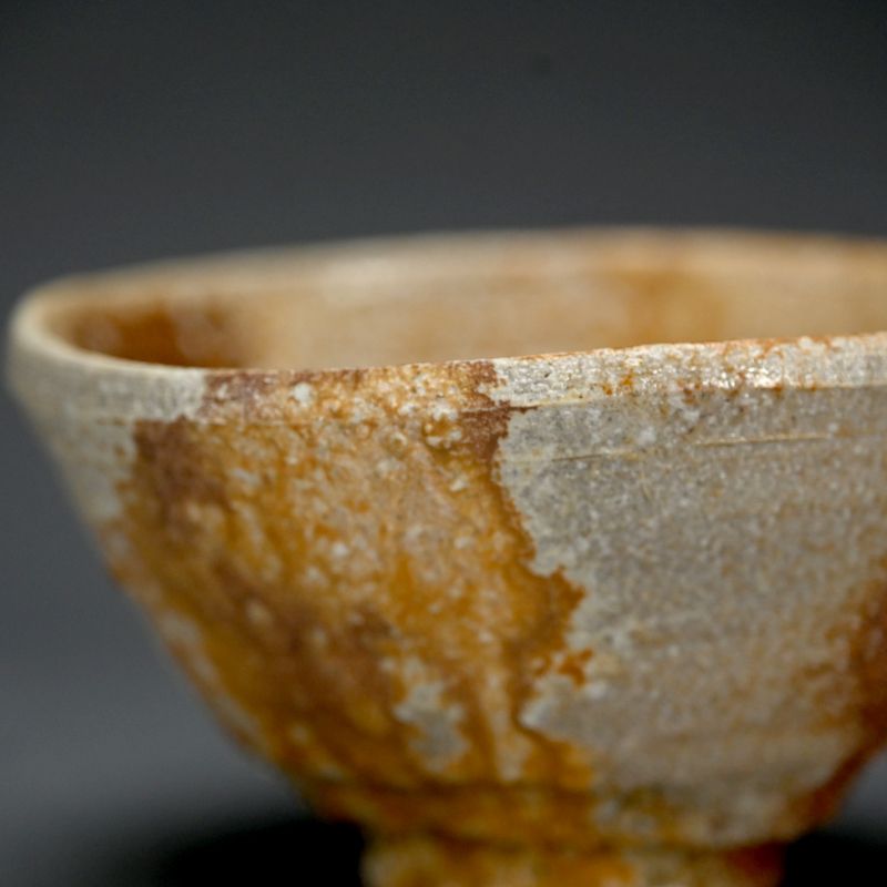 Fujimoto Hide Chawan Tea Bowl