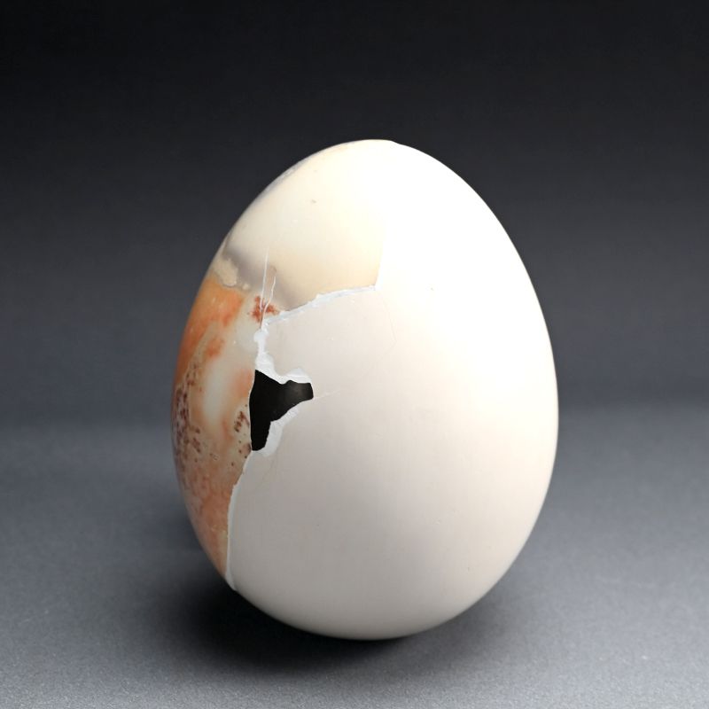 RE-CREATIONS Egg by Yorigami munemi