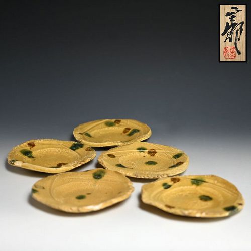 Hayashi Shotaro Vibrant Set 5 Ki-Seto Dishes