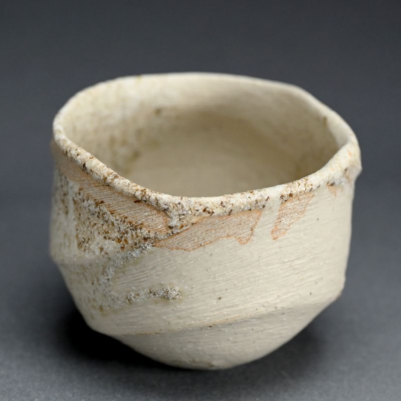 Rare! Chawan Tea Bowl by Sakiyama Takayuki