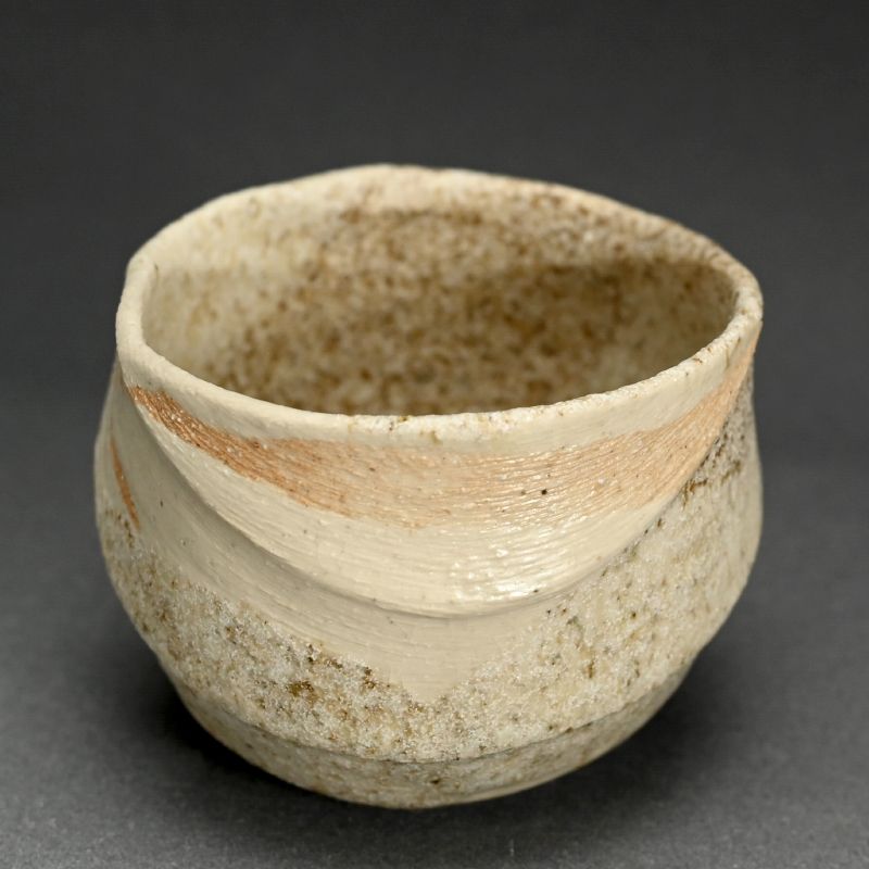 Rare! Chawan Tea Bowl by Sakiyama Takayuki