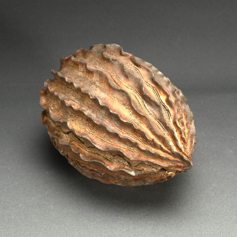 Seed Pod Ceramic Object by Koike Shoko