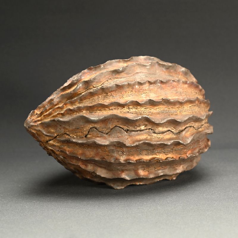 Seed Pod Ceramic Object by Koike Shoko