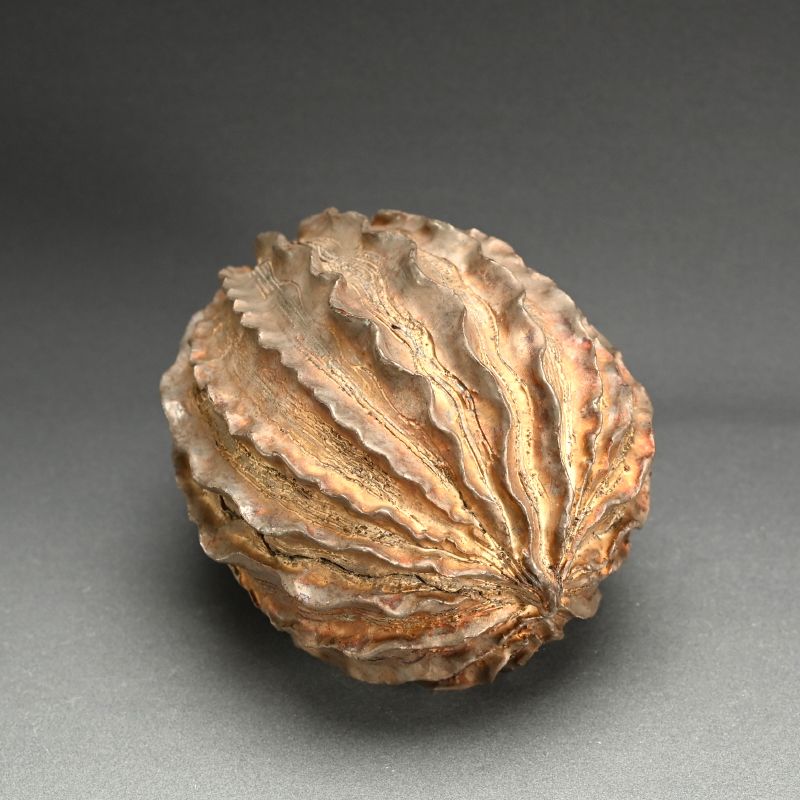 Seed Pod Ceramic Object by Koike Shoko