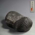 “MALE” / Ceramic Object by Takahashi Aoi