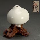 Single Flower Sculptural Vase by Fukazawa Ion