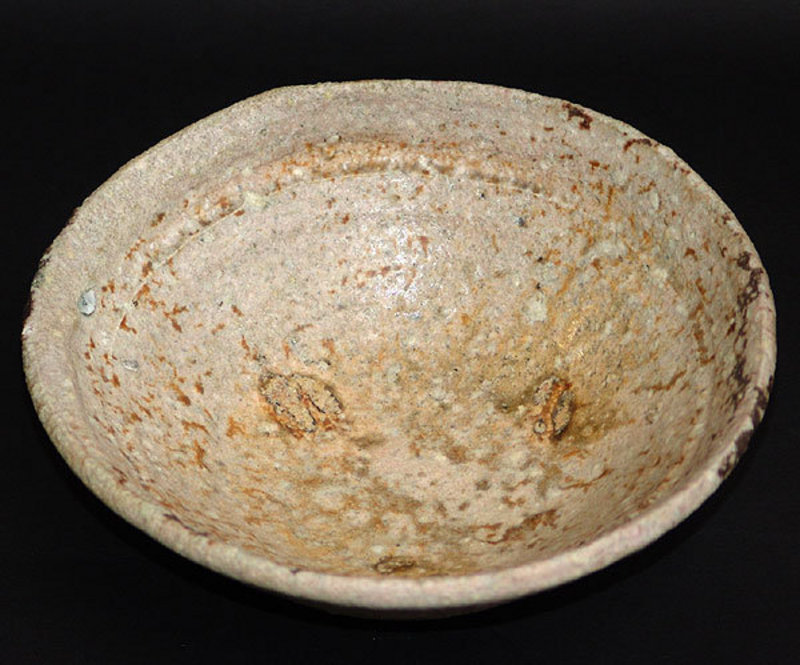Large Shigaraki Bowl by Furutani Michio