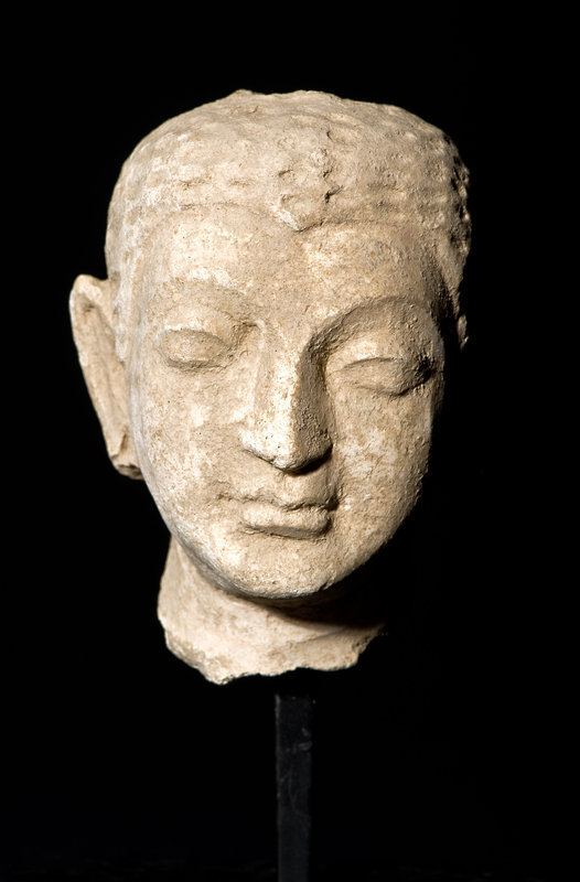 Gandharan Stucco Buddha Head 300 A.D.