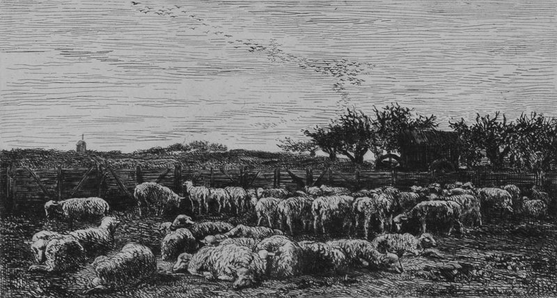 Charles F. Daubigny, Etching, &quot;The Large Sheepfold&quot;
