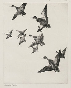 Frank Benson, Etching, "Black Ducks No. 2" 1922
