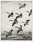 Frank W Benson, etching, "Hovering Geese" 1922