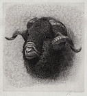John Austin Sands Monks, etching, "The Old Ram" c. 1880s