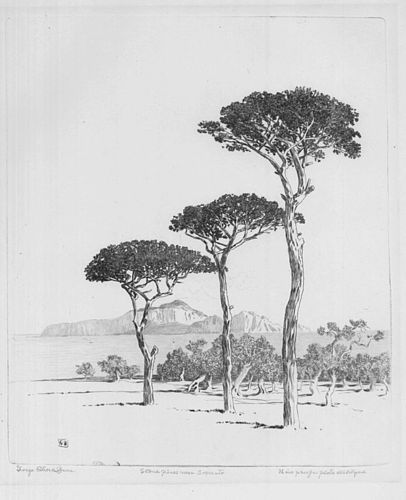 George Elbert Burr, etching, Stone Pines near Sorrento, 1920