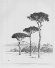 George Elbert Burr, etching, Stone Pines near Sorrento, 1920