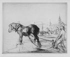 Edmund Blampied, etching, "Ostend Horse"