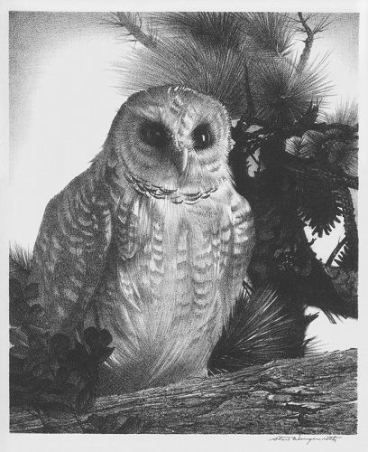 Stow Wengenroth, lithograph, "Owl"