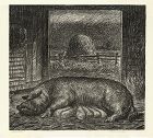 Harry Wickey lithograph, Sow and Piglets, 1936