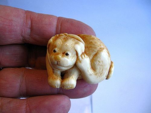 Japanese Carved Netsuke of a Puppy