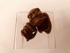 Japanese Wooden Triple Mask Netsuke