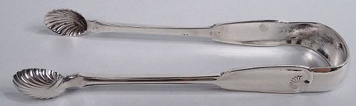 Large Tiffany Sterling Silver Sugar Tongs in Classical Palm Pattern