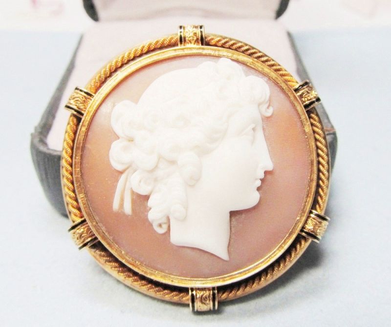 Victorian Round Shell Cameo Broach