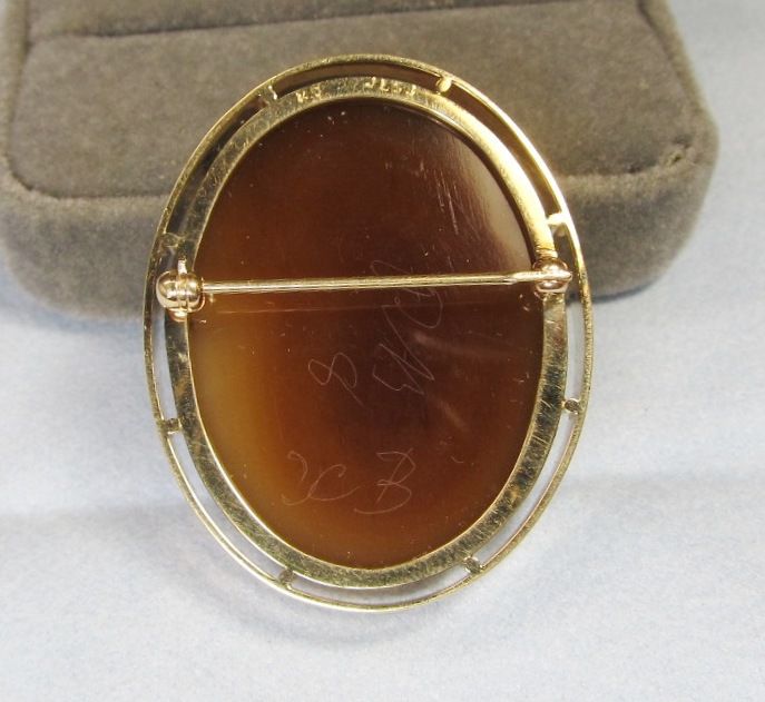 Hard Stone Cameo in 14Kt Gold Frame Circa 1910